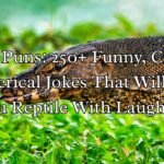 Lizard Puns