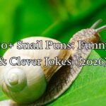 Snail Puns