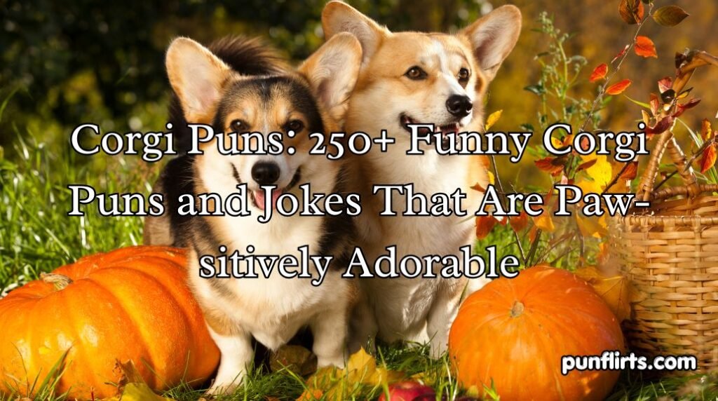 Corgi Puns