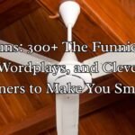 Fan Puns