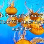 Jellyfish Puns