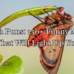 Moth Puns